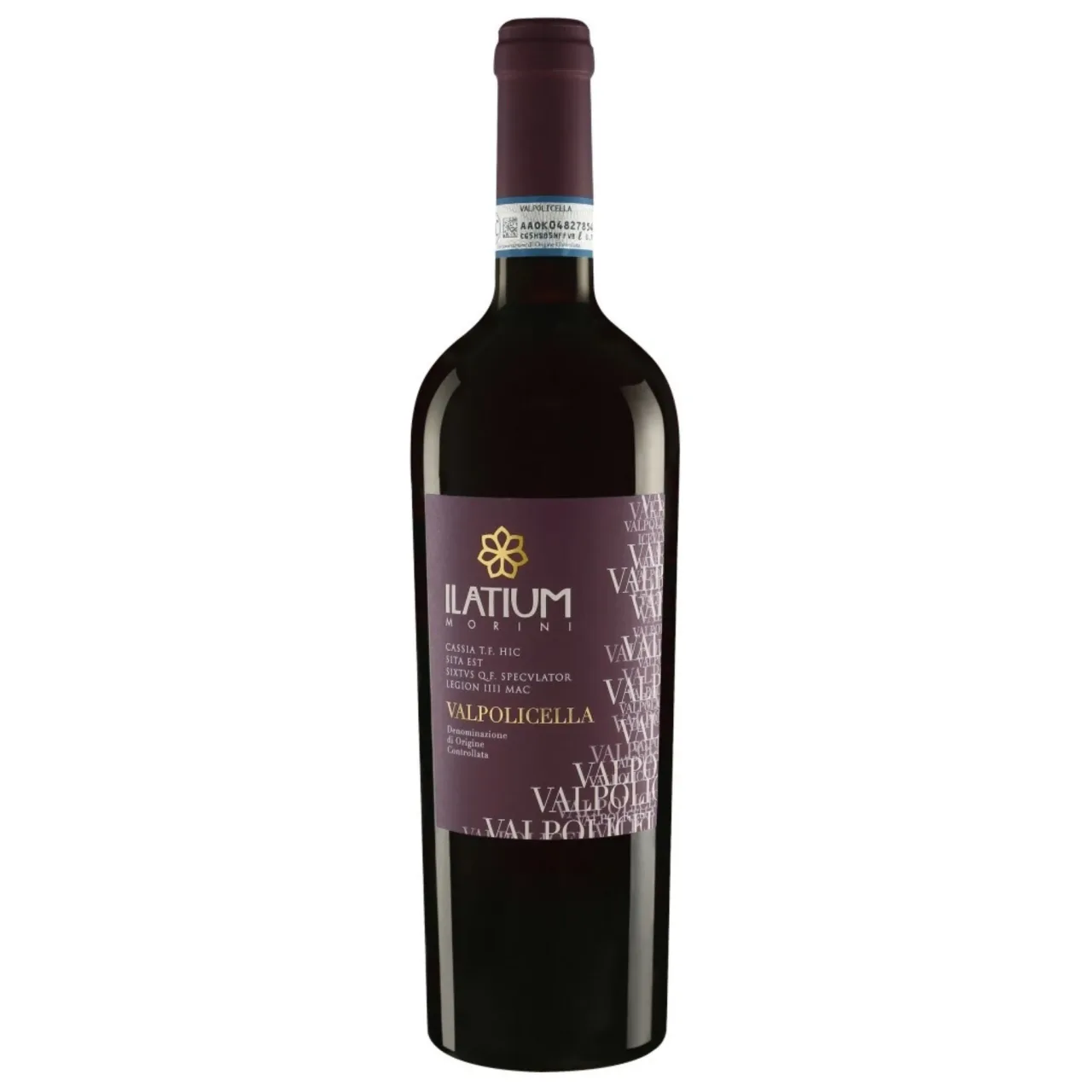 Valpolicella 2024 — Фронт