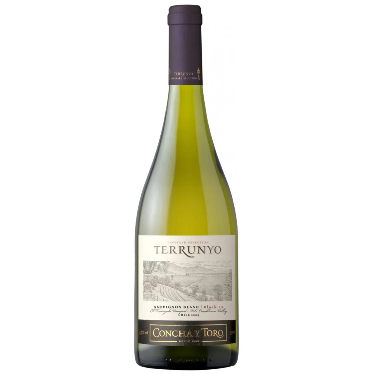 Terrunyo Sauvignon Blanc — Фронт