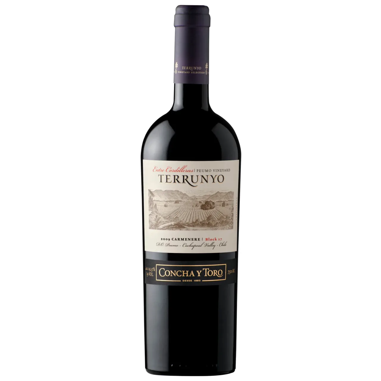Terrunyo Carmenere — Фронт