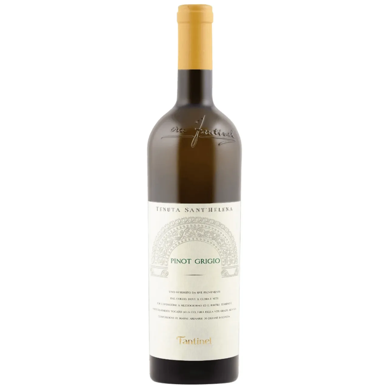 Sant Helena Pinot Grigio 2017 — Фронт