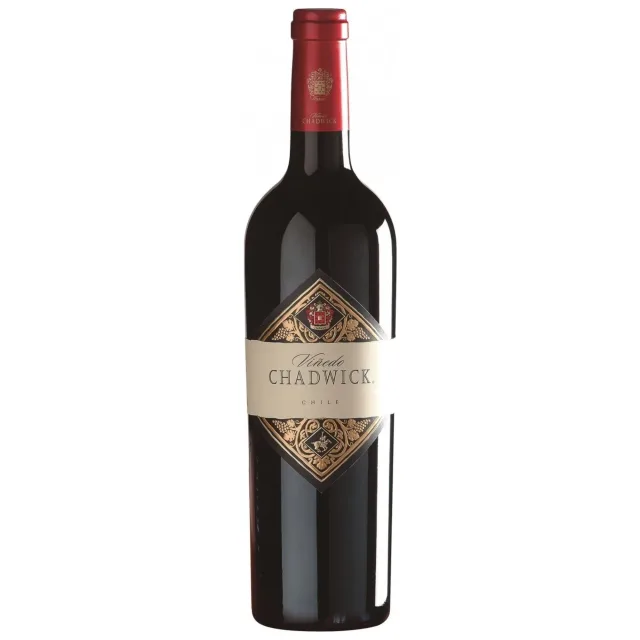 Vinedo Chadwick 2019